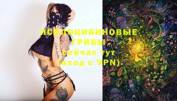 таблы Бородино