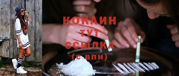 гашик Бронницы
