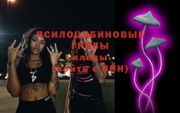 гашик Бронницы
