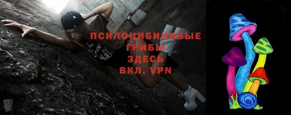 таблы Бородино