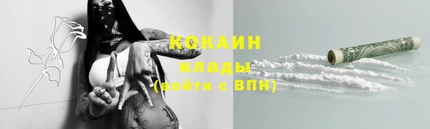 гашик Бронницы