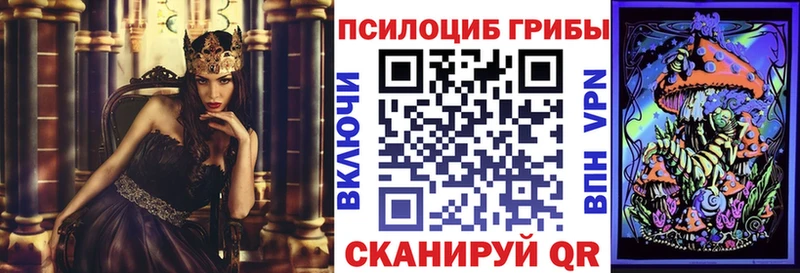 что такое   Губаха  KRAKEN зеркало  Галлюциногенные грибы GOLDEN TEACHER 
